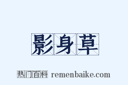影身草是什么意思的图片